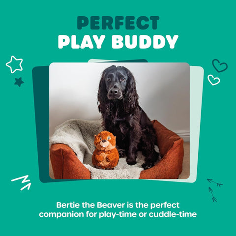 Bertie the Beaver Plush Squeaky Dog Toy