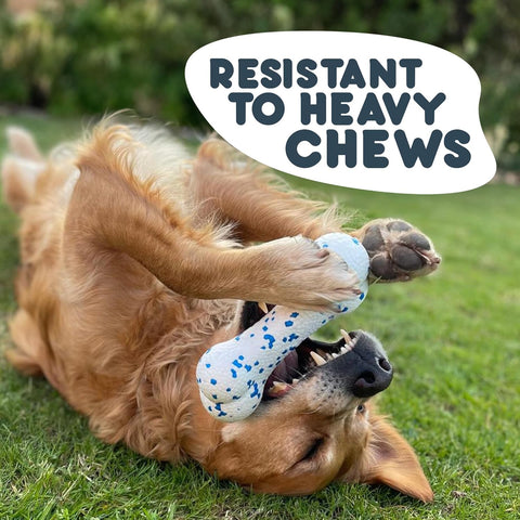Petface Outdoor Paws Mighty Bone Dog Toy Extra Strong