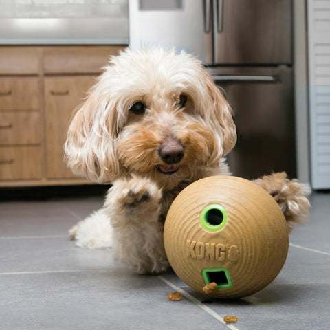 Kong Bamboo Food Ball – Interactive Dog Toy Multicolour