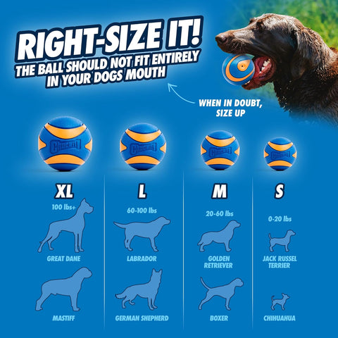 ChuckIt! Ultra Squeaker Ball Dog Toy - 2 Pack Medium