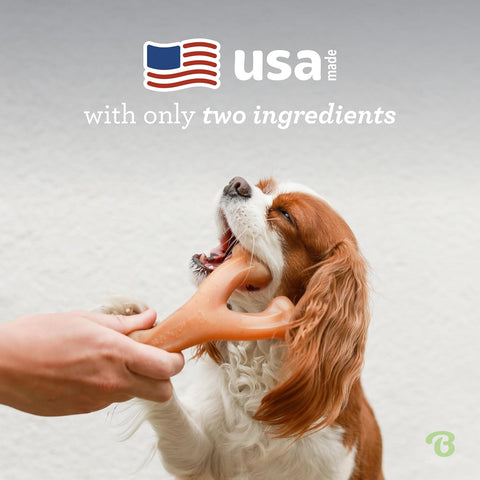 Benebone Wishbone Chew Toy Small Bacon Pack of 2