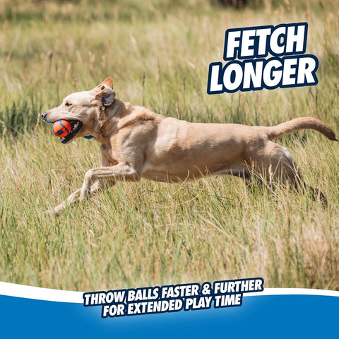 Medium Dog Tug and Fetch Rubber Ball Toy Orange