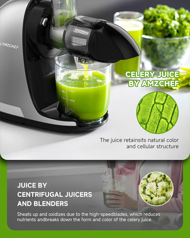 Juicer Machine – Cold Press Slow Masticating Juicer for Fruits & Vegetables, BPA Free Juice Extractor with 2 Cups & Brush