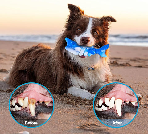 Indestructible Dog Chew Toy for Aggressive Chewers