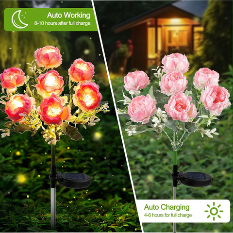 Joyoldelf Solar Lights Outdoor Waterproof, 2 Pack Pink Peony Flower Garden Lights with 7 Flowers, Warm White Decorative Pathway Lighting for Yard Patio Driveway, Solar Powered Landscape Lamp