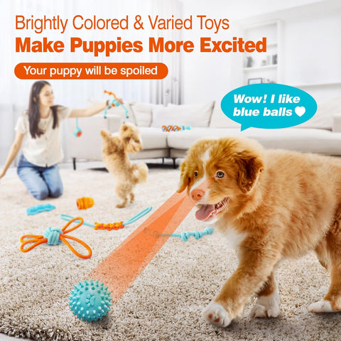 9 Pcs Interactive Puppy Toys for Teething and Tug of War