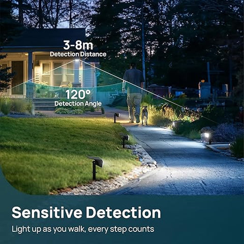 Warm white LED solar light illuminating garden path

