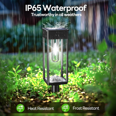 COXSENI Solar Pathway Lights Outdoor 6 Pack, 12Hrs Solar Powered, IP65 Waterproof, Cool White