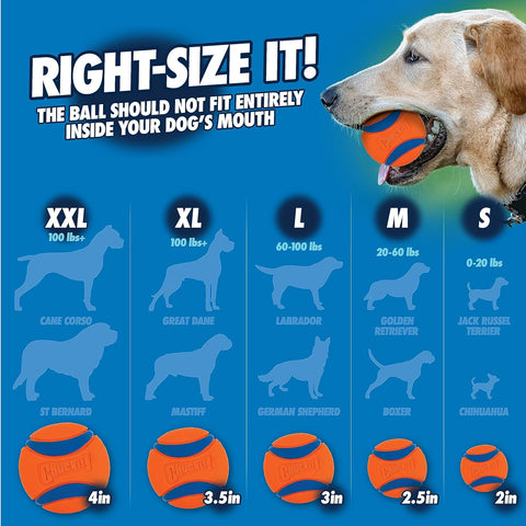 Chuckit Fetch and Fold Dog Ball Launcher