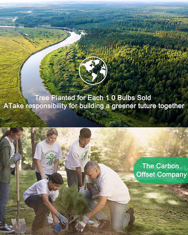 MR16 GU5.3 12V 20W Halogen Spotlight Bulbs 2700K (6 Pack)