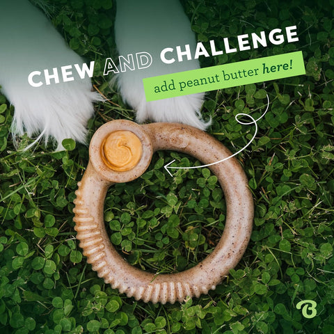 Benebone Ring Indestructible Bacon Chew Toy Small Dogs Real Bacon Flavour, For Small Dogs