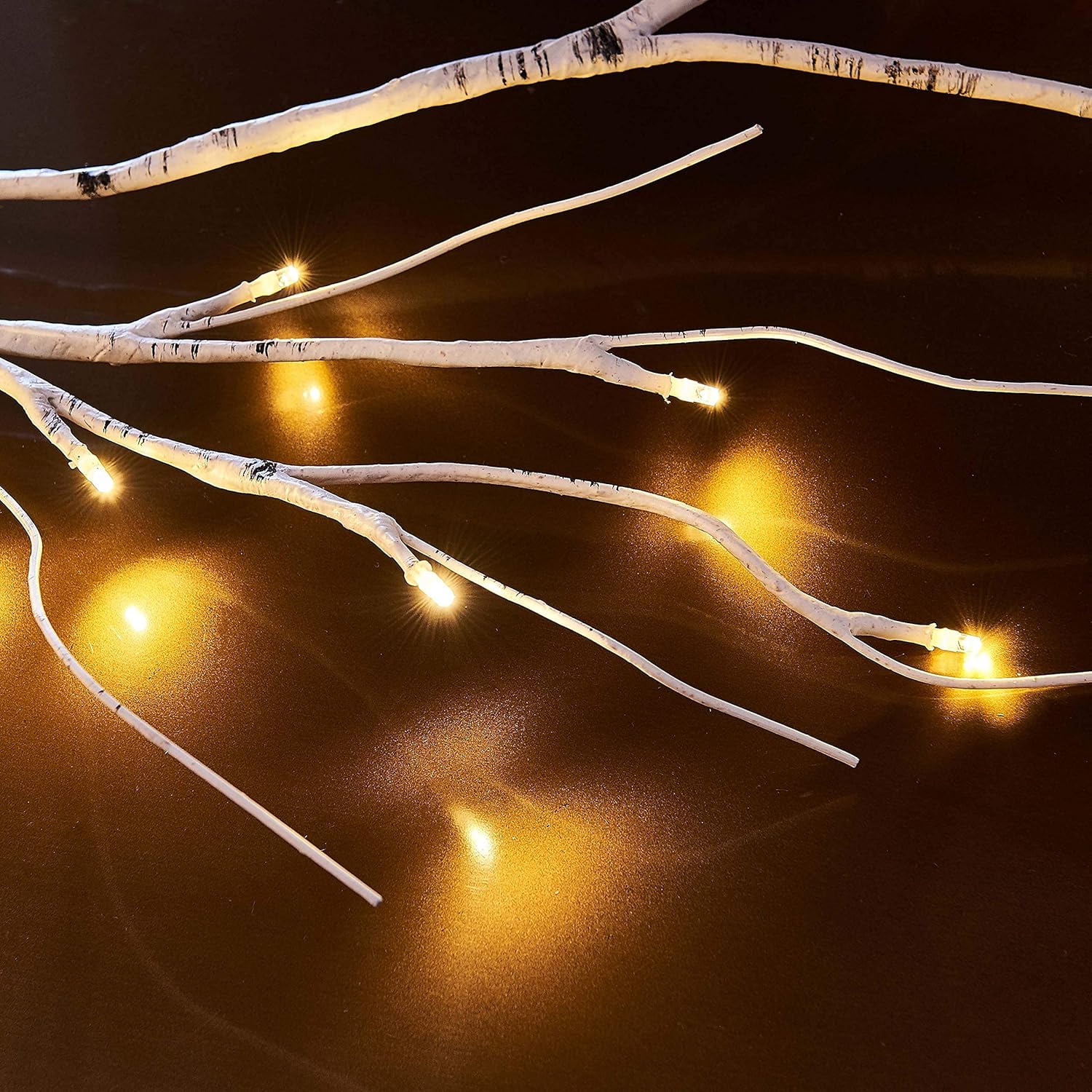Decorative string lights on branches against a dark background