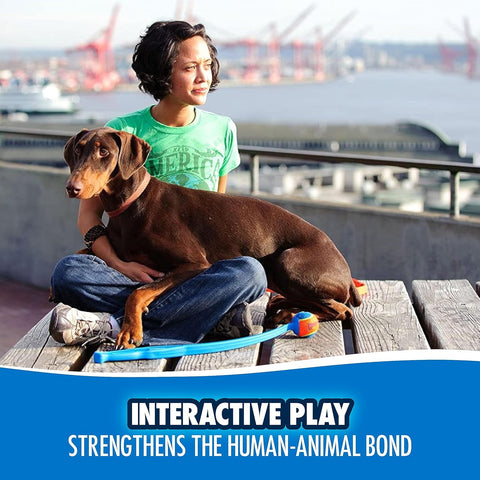 Chuckit Fetch and Fold Dog Ball Launcher