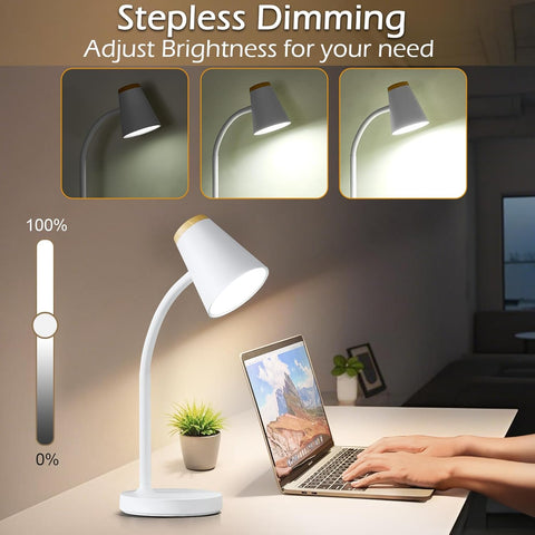 Adjustable gooseneck lamp

