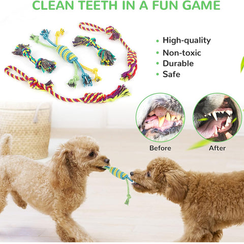 Squeaky Puppy Toy 12 Pack for Small Dogs