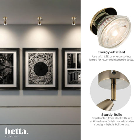 Betta Lighting spotlight with energy-efficient text and images of framed artwork on a wall.