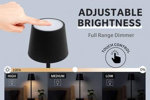 Black lamp with adjustable brightness control on a gray background