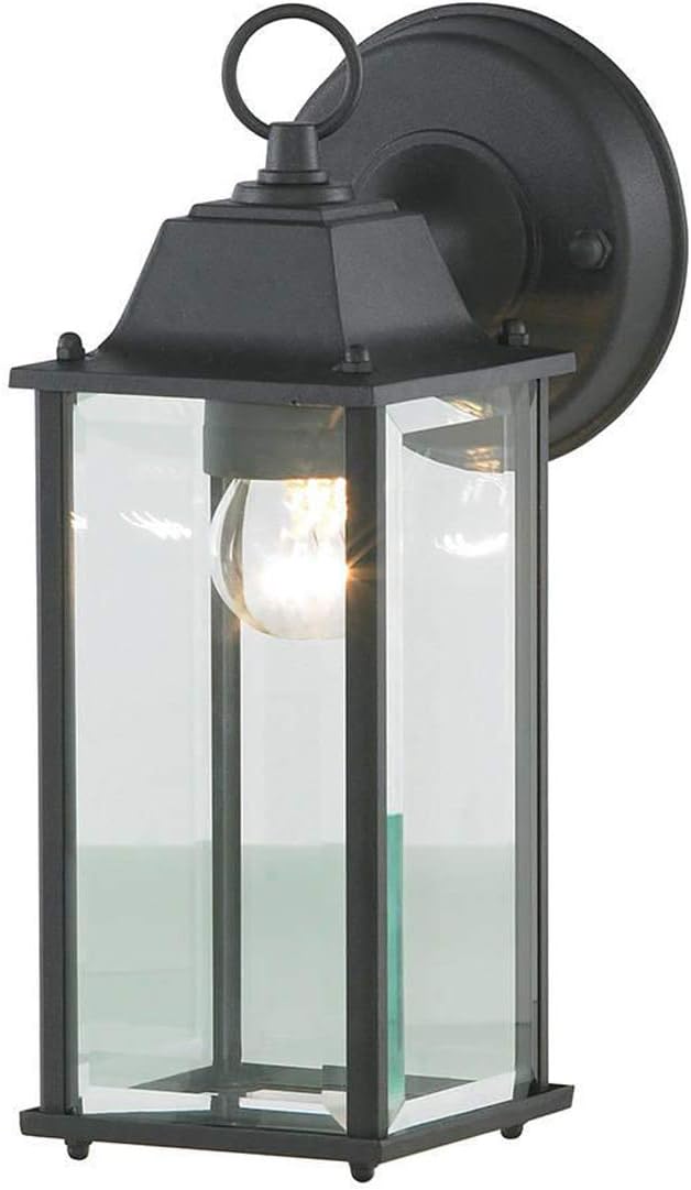 Black outdoor wall light fixture with clear glass shade on a white background