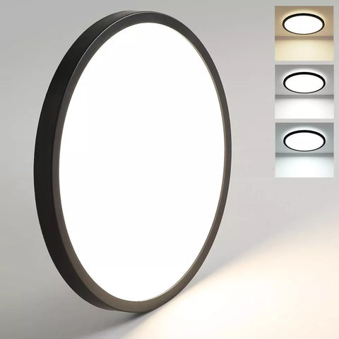 Ceiling LED light for kitchen and hallway

