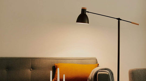 LED Edison Bulb in Standard Light Fixture

