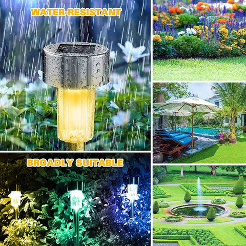 Waterproof solar stake lights lighting up an outdoor space during the evening

