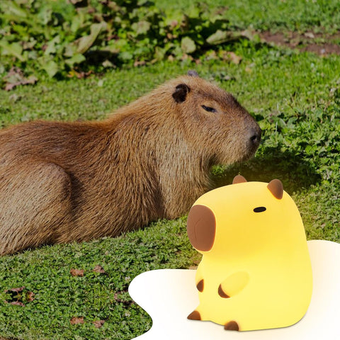 Capybara next to a yellow rubber duck with brown spots on a grassy background
