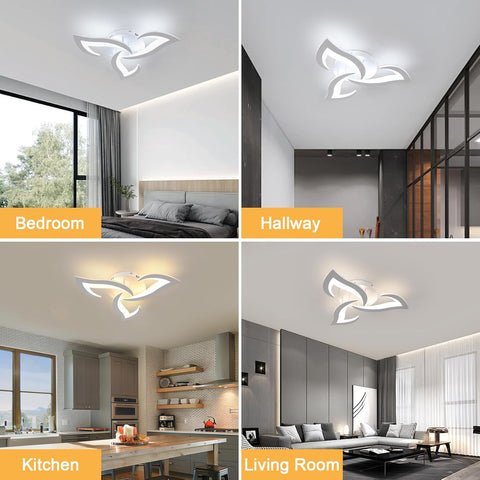 Ceiling light fixture in various rooms including bedroom, hallway, kitchen, and living room.