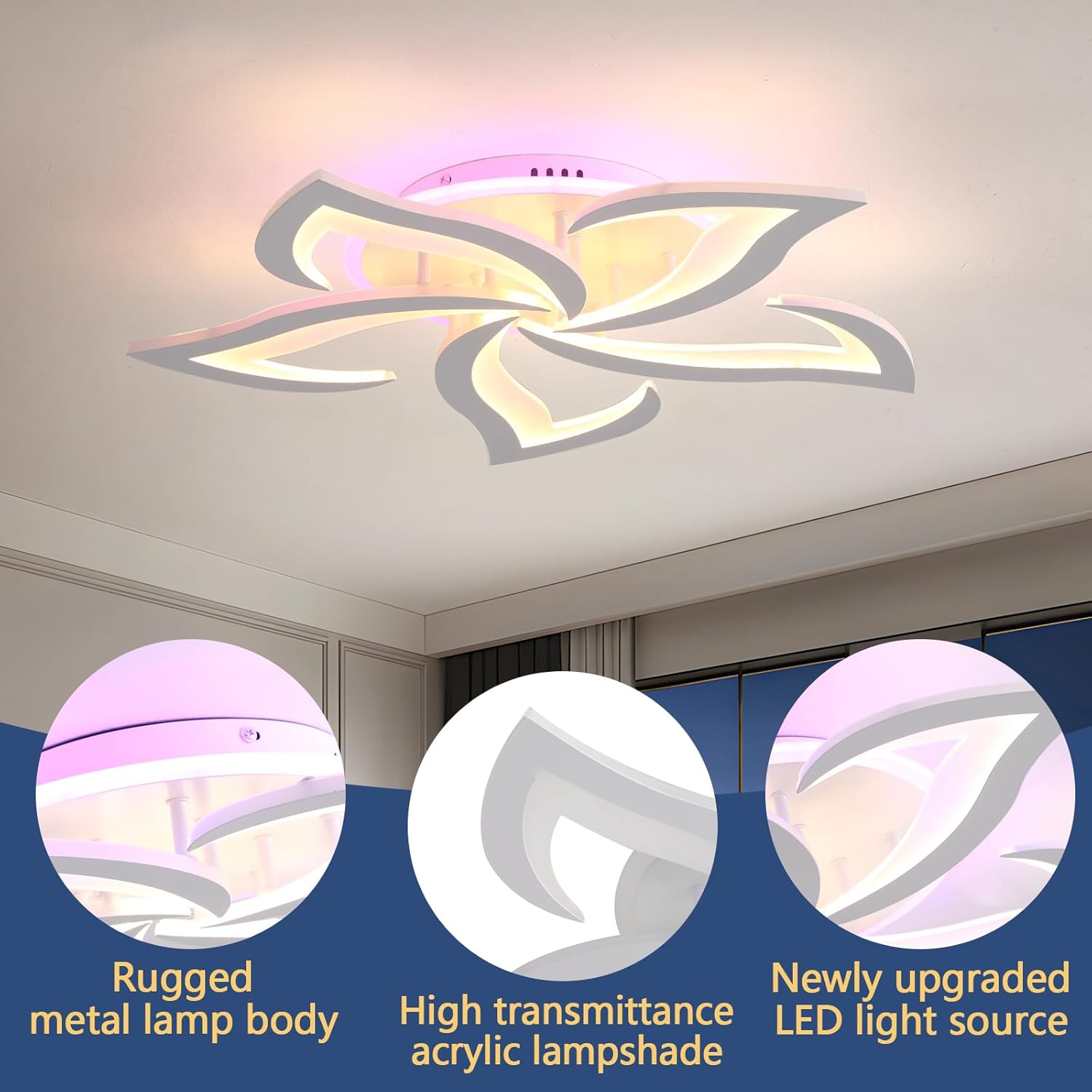 Ceiling light fixture with close-up details on lamp body, acrylic shade, and LED light source.