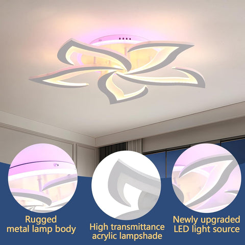 Ceiling light fixture with close-up details on lamp body, acrylic shade, and LED light source.