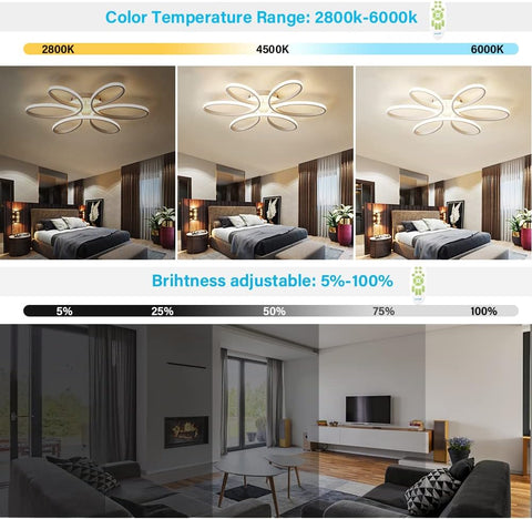 Ceiling light fixture with color temperature and brightness adjustment options displayed.