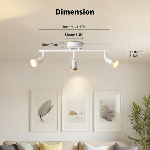 Ceiling light fixture with dimensions displayed on a wall with framed pictures and a plant.