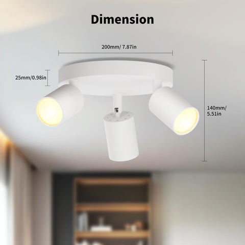 Ceiling light fixture with dimensions labeled on a blurred background