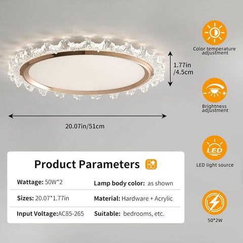 Ceiling light fixture with product parameters on a gray background