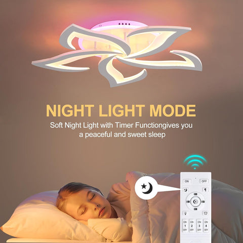 Ceiling light fixture with remote control and text about night light mode