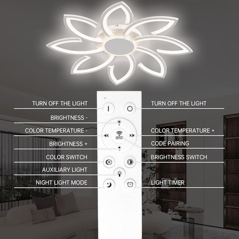 Ceiling light fixture with remote control interface in a room setting