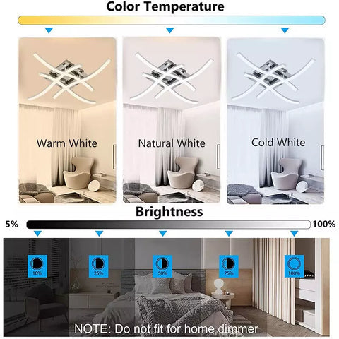 Ceiling light with remote white