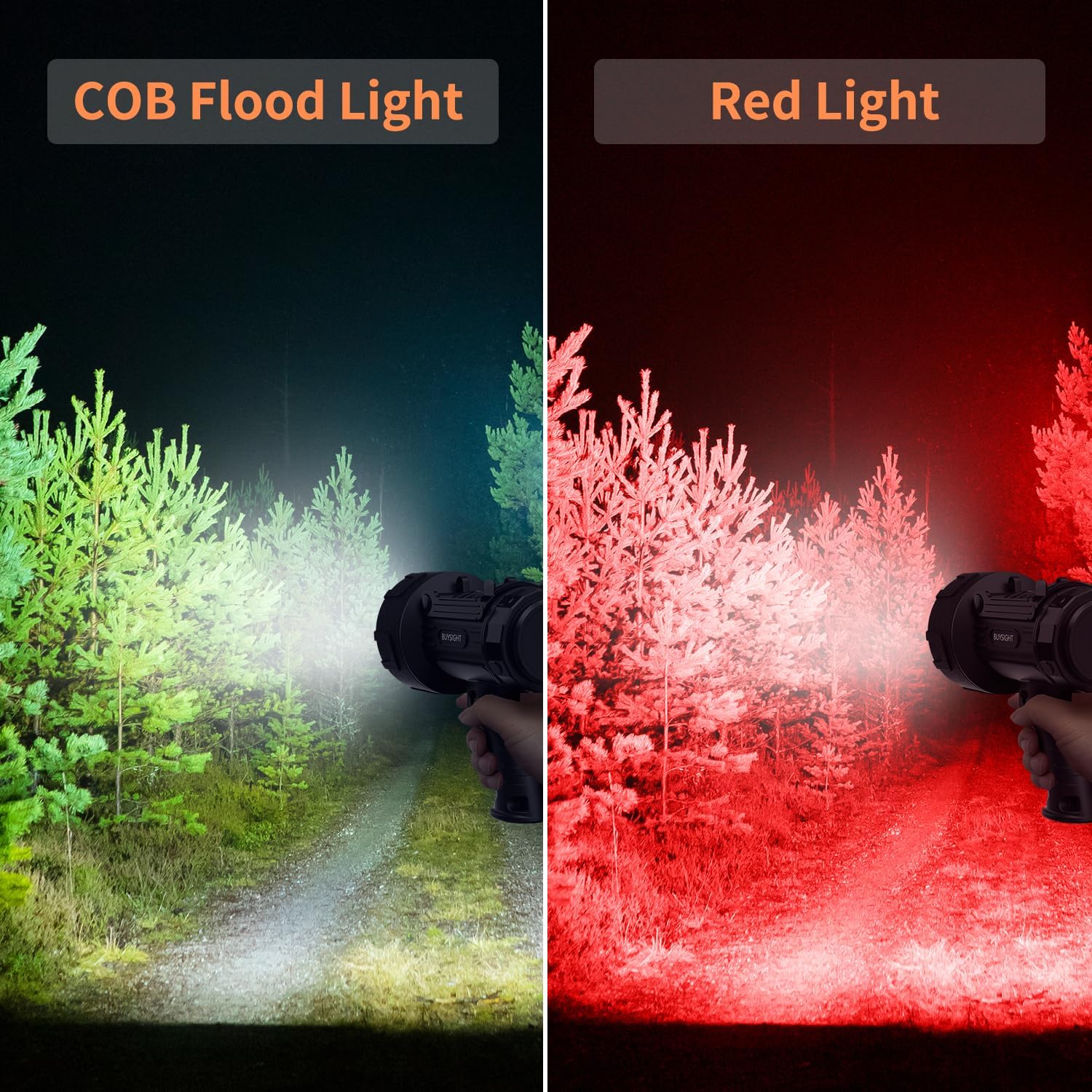 Comparison of COB flood light and red light on a forest path.