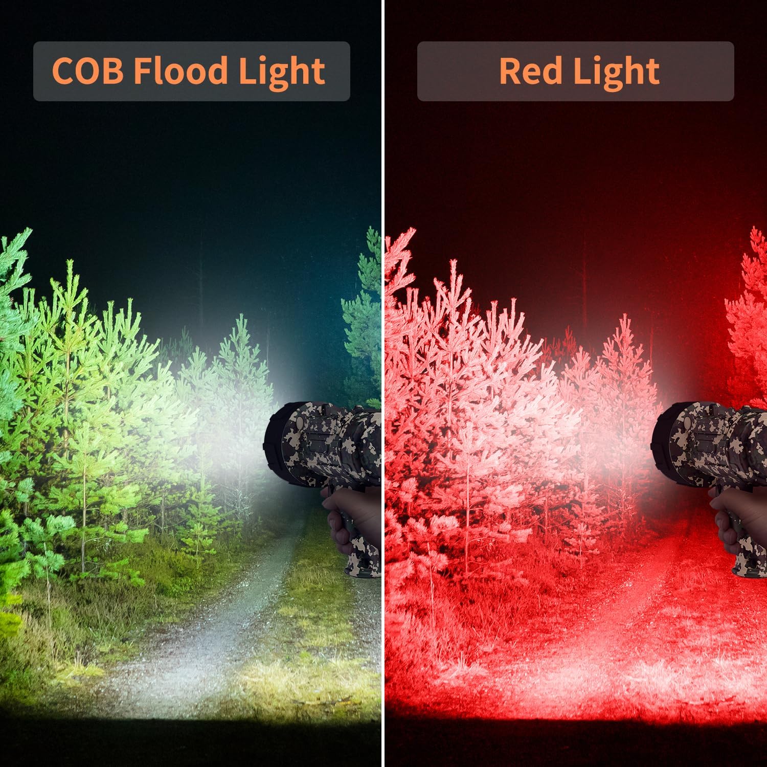 Comparison of COB flood light and red light in a forest setting.