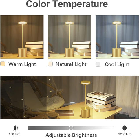 Comparison of a lamp's color temperature effects on a bookshelf with warm, natural, and cool light options.