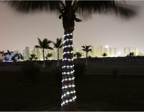 Decorative lights on a palm tree with a city skyline in the background