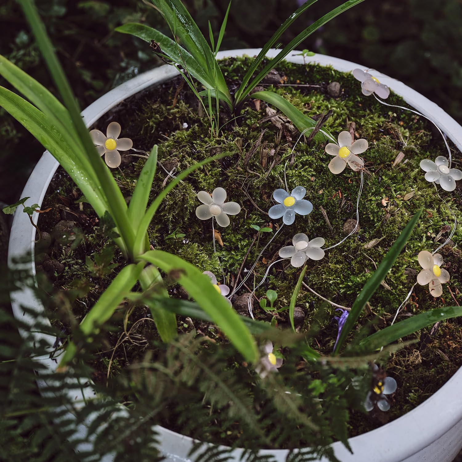 Decorative warm white flower LED string lights for bedroom or garden