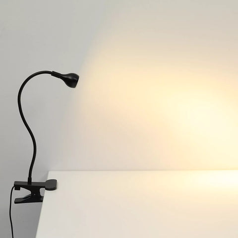 Lamp illuminating a laptop keyboard

