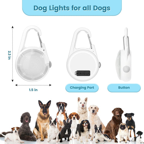 Dog lights for all dogs with product details and a group of dogs below.