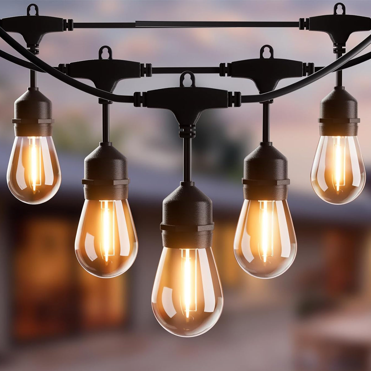 Festoon Lights