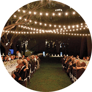 Festoon Lighting