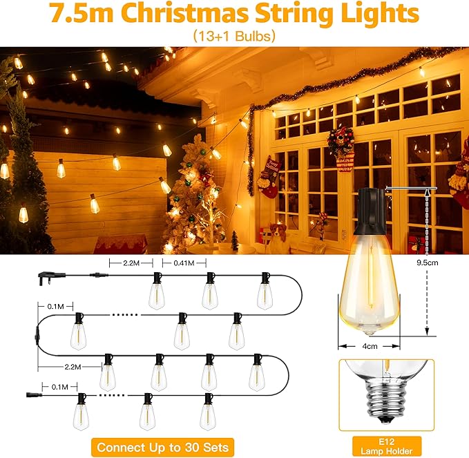 Festive string lights for garden decoration


