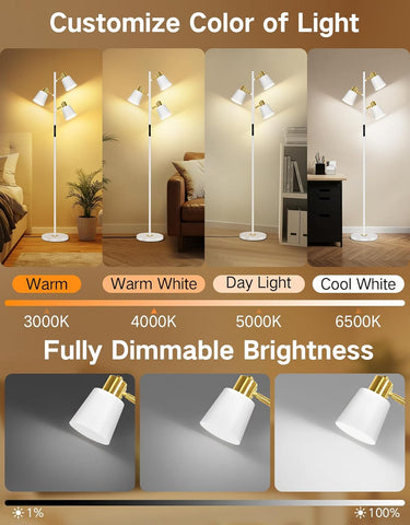 Floor lamp with customizable color of light and dimmable brightness options.