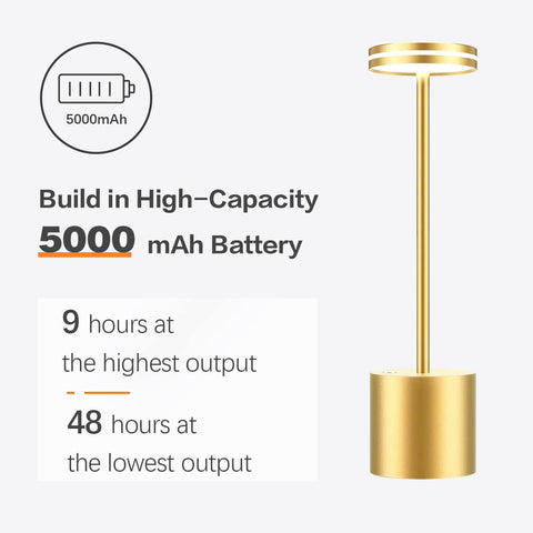 Gold outdoor light with battery information on a white background