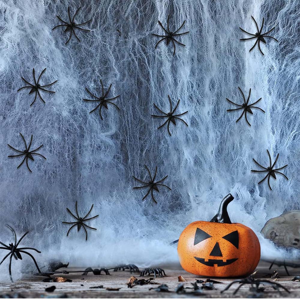 Halloween-themed scene with a jack-o'-lantern, spiders, and cobwebs.