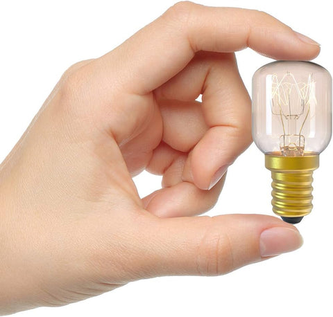 Hand holding a small light bulb against a white background